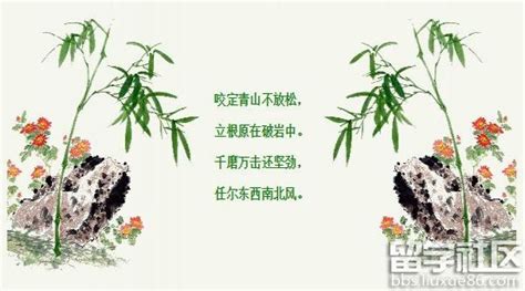 竹 意思